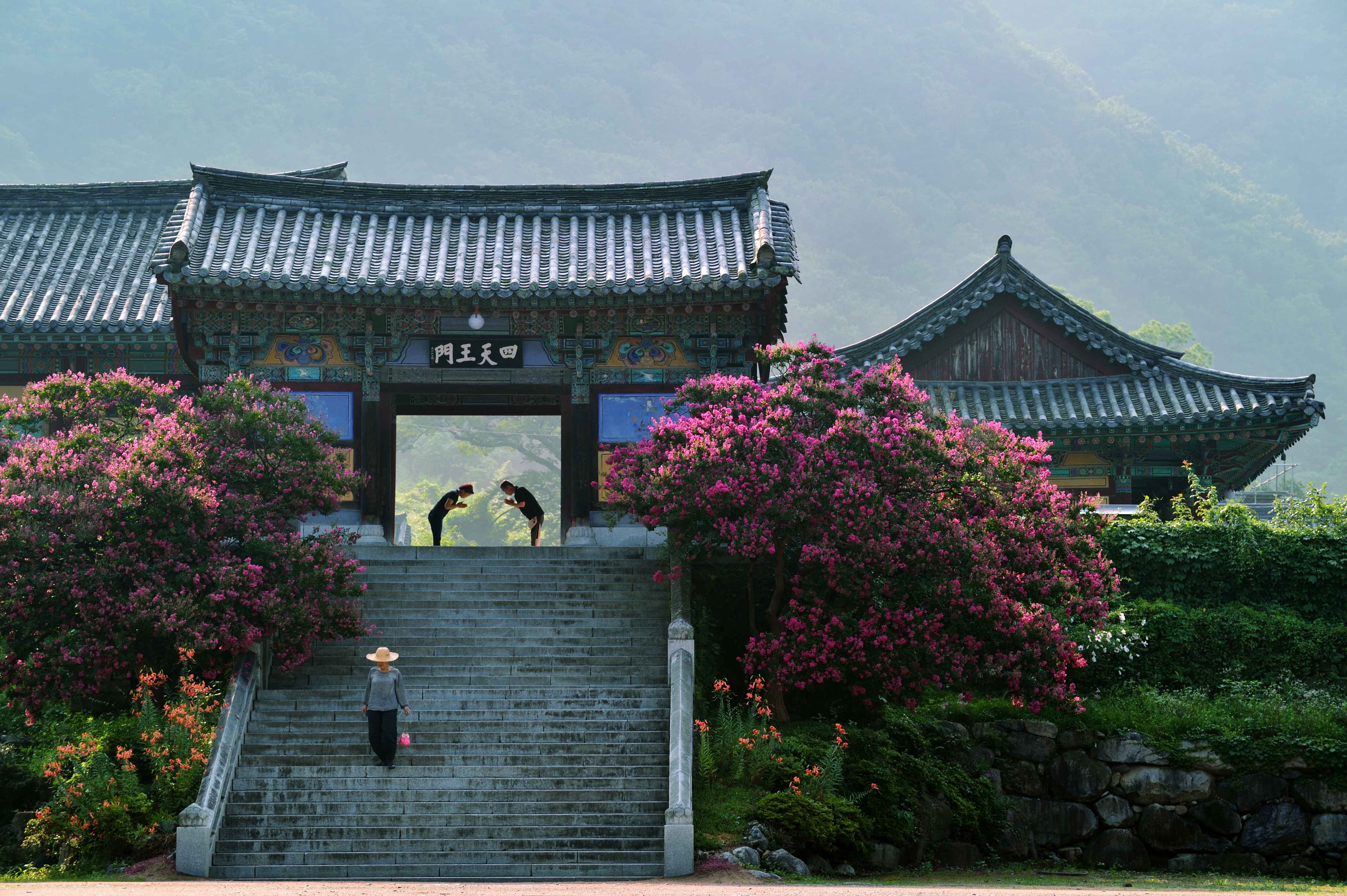 Find your travel inspiration to Korea!